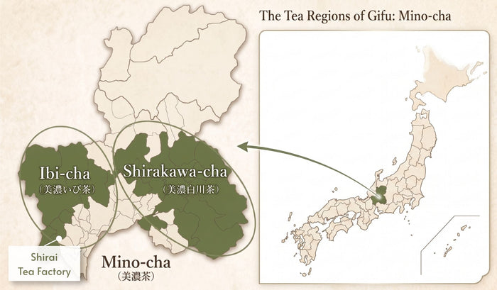 #1082.G1 Shirai Tea Factory: Matcha "Mino no Kaori" Premium Barista Grade - Stone Mill Ground