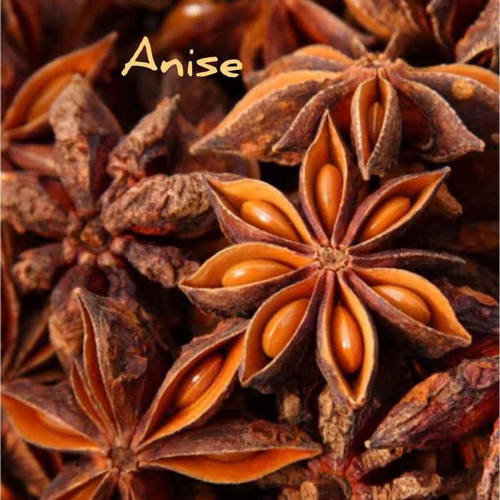 Anise & Clove Tooth Cleanse 1oz - Fat & The Moon