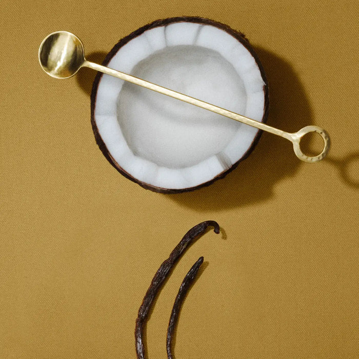 Gold spoon inside a coconut with vanilla beans on a brown background
