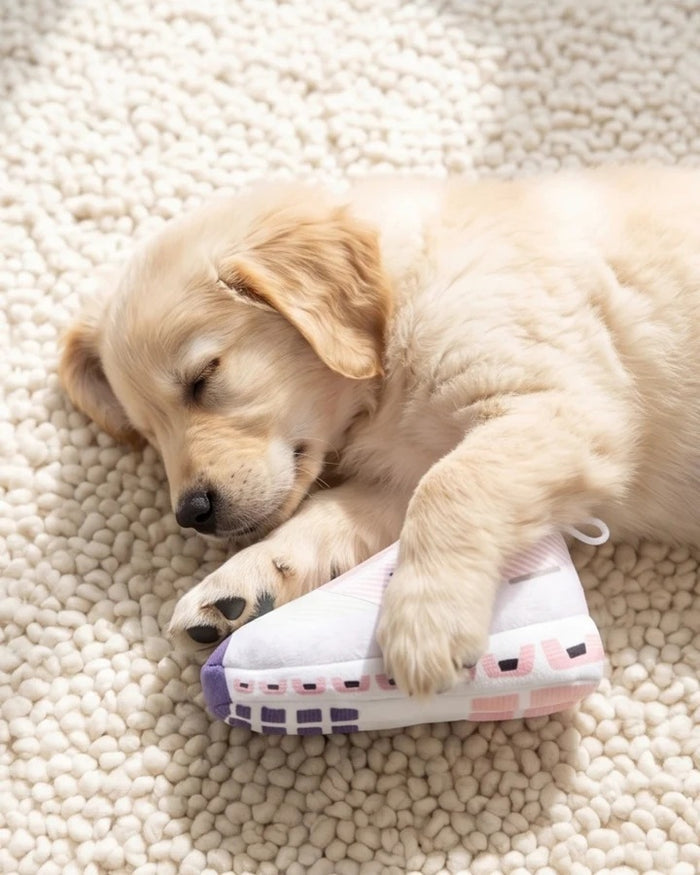 Introducing the DOG WORKOUT SHOE DOG TOY from HAUTE DIGGITY DOG—a plush slipper-shaped toy styled like a pink and white sneaker with "DOG" written on the side, a thick sole, and a handy loop at the back, all designed to mimic a fun workout shoe for playful pups.