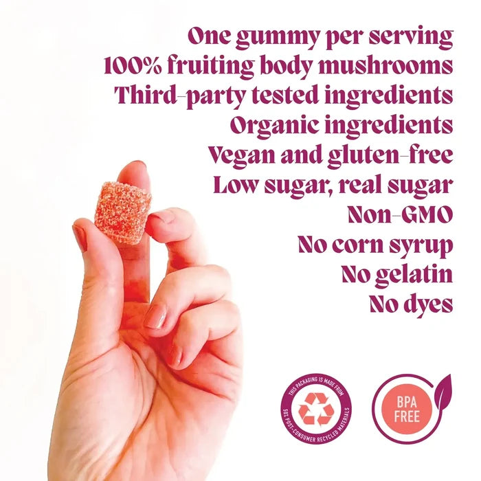 Elevate Mushroom Gummies – Microjoy