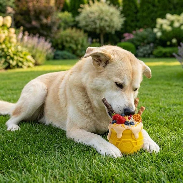 The SODA PUP HONEY POT DOG TREAT DISPENSER - YELLOW LARGE is a durable plastic treat dispenser featuring a bright yellow color, hexagon and bee design, and sculpted honey dripping details on the sides. This enrichment toy provides mental stimulation for dogs as they play and discover hidden treats inside.