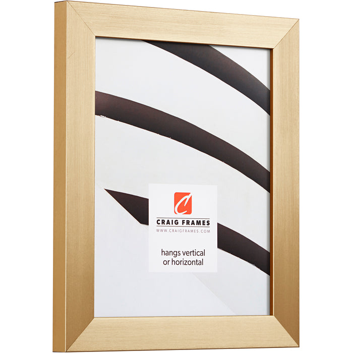 Modern Aesthetics 125 1.25", Brushed Gold Picture Frame