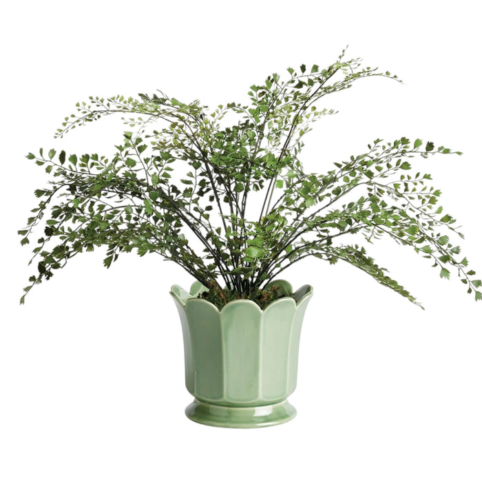 The NAPA HOME AND GARDEN Maline Footed Pot in Green, Large, features a light green ceramic finish with a scalloped, petal-like rim and a flared, rounded base. This elegant vase by NAPA HOME AND GARDEN is photographed against a plain white background.