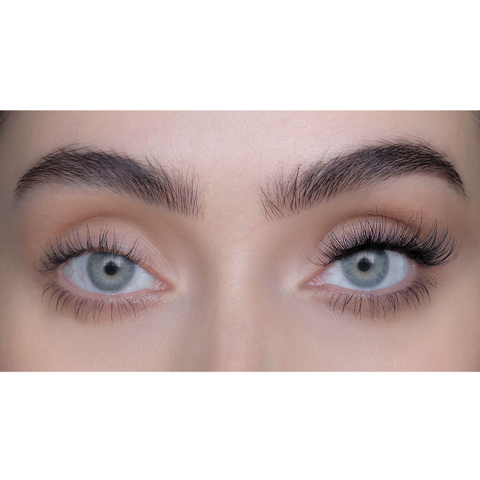No Lash-Lash