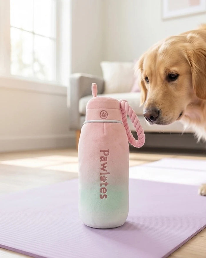 The HAUTE DIGGITY DOG PAWLATES PRINCESS WATER BOTTLE DOG TOY features a soft, pastel pink and green ombre plush design with "Pawlates" embroidered on the bottle and a pink rope handle on the side, making this squeaker dog toy both adorable and entertaining for your pup.