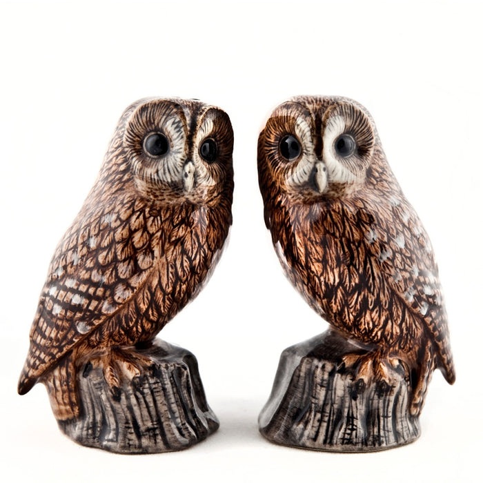 The QUAIL CERAMICS - TAWNY OWL SALT AND PEPPER SET by QUAIL DESIGNS features two handpainted stoneware shakers with detailed brown, beige, and black feather patterns, displayed side by side on a white background.
