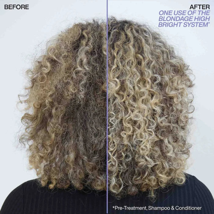 Redken Blondage High Bright Conditioner 300Ml