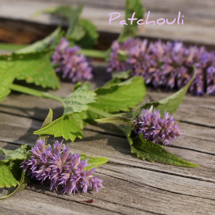 Wolf Shepherd Plant Perfume - Fat & The Moon