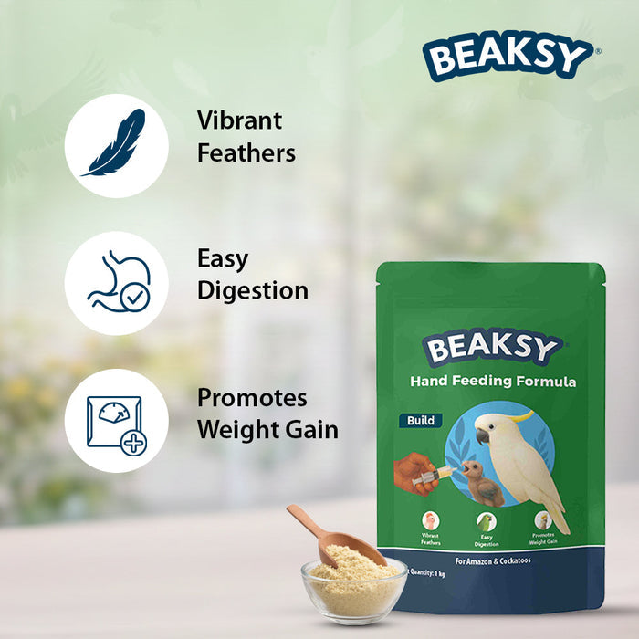 BEAKSY BUILD