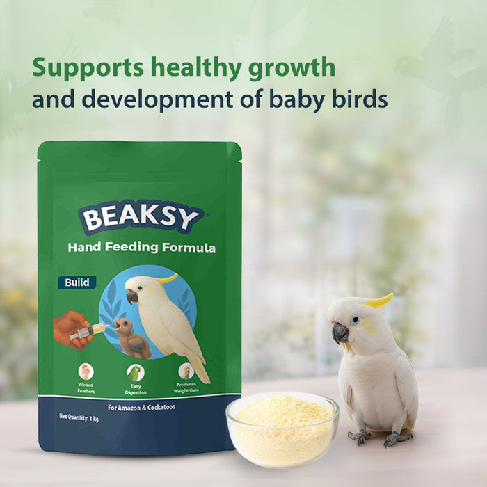 BEAKSY BUILD