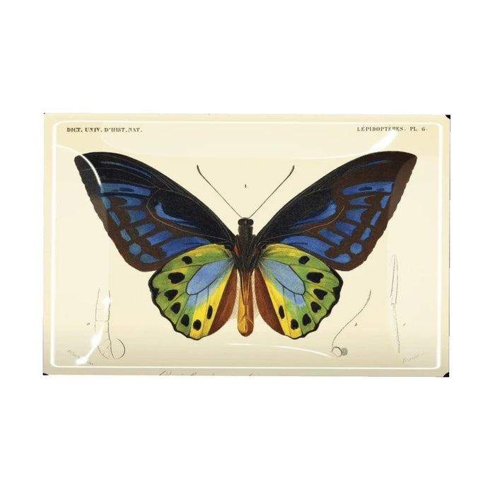 A black box with a label sits on a table next to coffee cups with latte art, a menu, and the BENS GARDEN Tropical Butterfly No. 6 Decoupage Glass Tray, adding to the cozy café atmosphere.