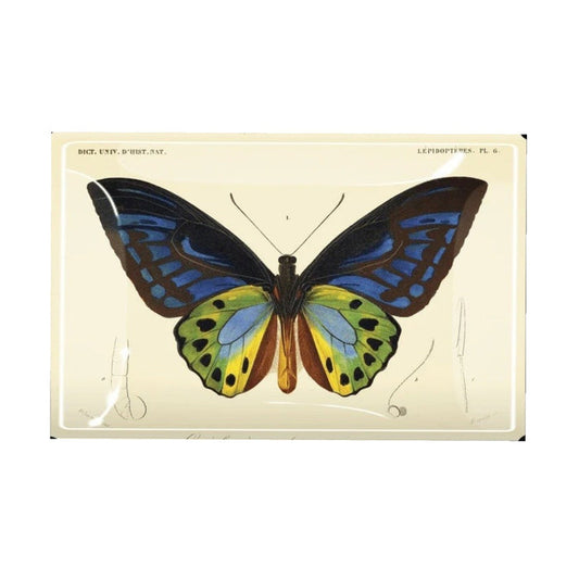 A black box with a label sits on a table next to coffee cups with latte art, a menu, and the BENS GARDEN Tropical Butterfly No. 6 Decoupage Glass Tray, adding to the cozy café atmosphere.