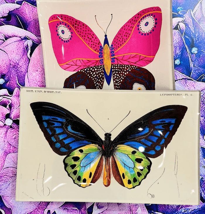 An illustration of a butterfly with black, blue, green, and yellow wings is displayed symmetrically on a cream background with faint text and outlines of insects—evoking the meticulous style of BENS GARDEN's BEN’S GARDEN - TROPICAL BUTTERFLY NO. 6 DECOUPAGE GLASS TRAY.
