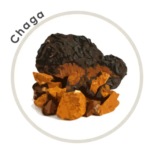 Espresso De Nicaragua Ground RESERVE Mushroom Coffee - La Republica