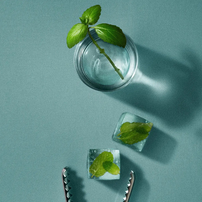 Clear glass with mint leaves on a teal background