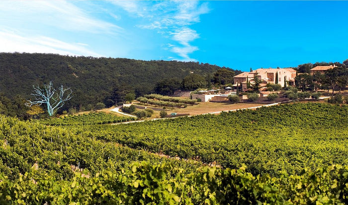 Nestled amid rolling green hills and lush forests, with winding lanes leading to the property and sunlight dancing through a partly cloudy sky, this enchanting estate offers breathtaking views of fields and distant mountains in the heart of the Southern Rhône Valley wine country. The idyllic setting is as inviting as attending a FEARRINGTON VILLAGE Chêne Bleu Wine Dinner, where biodynamic Super Rhônes await to be savored.