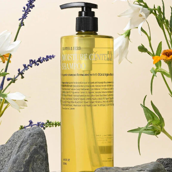 [CURLYSHYLL] Moisture Centella Shampoo 500ml - Ballagrio