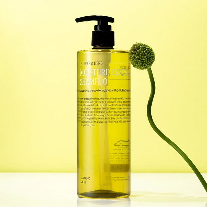 [CURLYSHYLL] Moisture Centella Shampoo 500ml - Ballagrio
