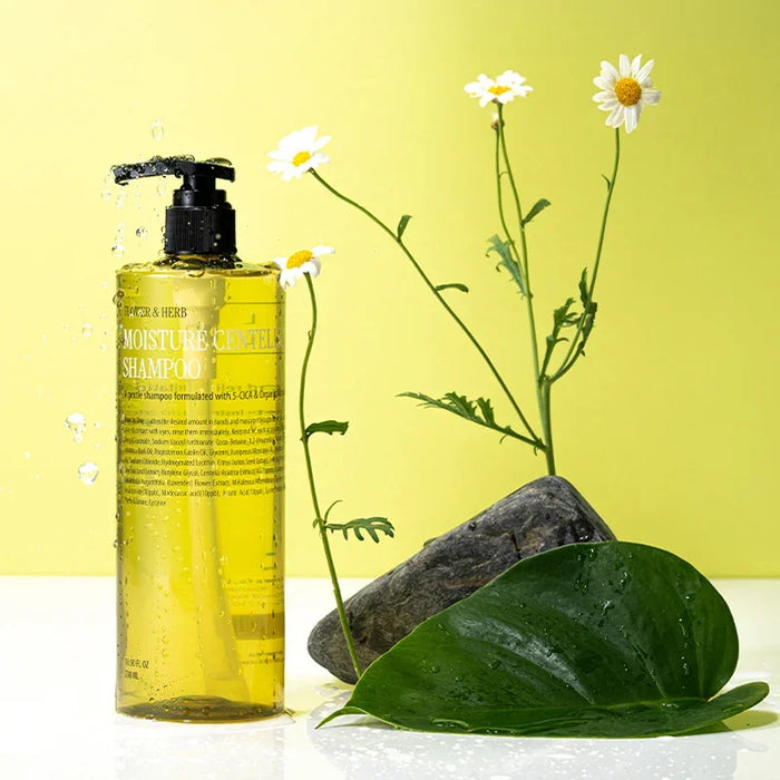 [CURLYSHYLL] Moisture Centella Shampoo 500ml - Ballagrio