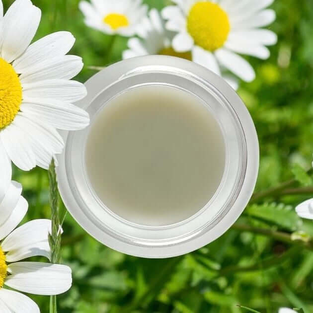 DewDab Ozonated Beauty Balm 6ml - Living Libations