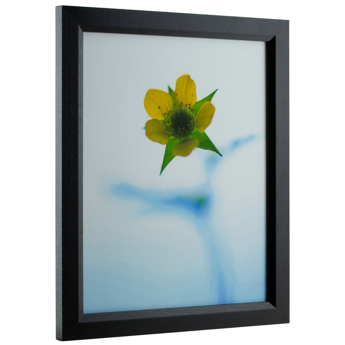 Economy .875", Matted Ebony Hardwood Picture Frame - 4 Piece Set
