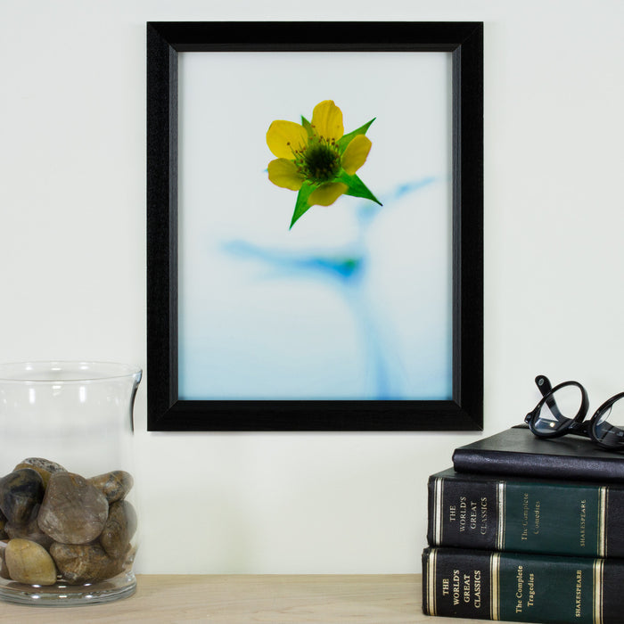 Economy .875", Matted Ebony Hardwood Picture Frame - 4 Piece Set