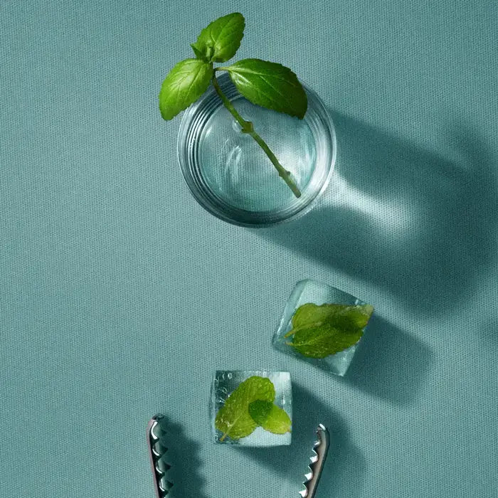 Clear glass with mint leaves on a teal background