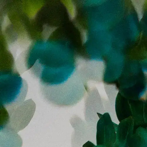Close-up of green leaves with a blurred background