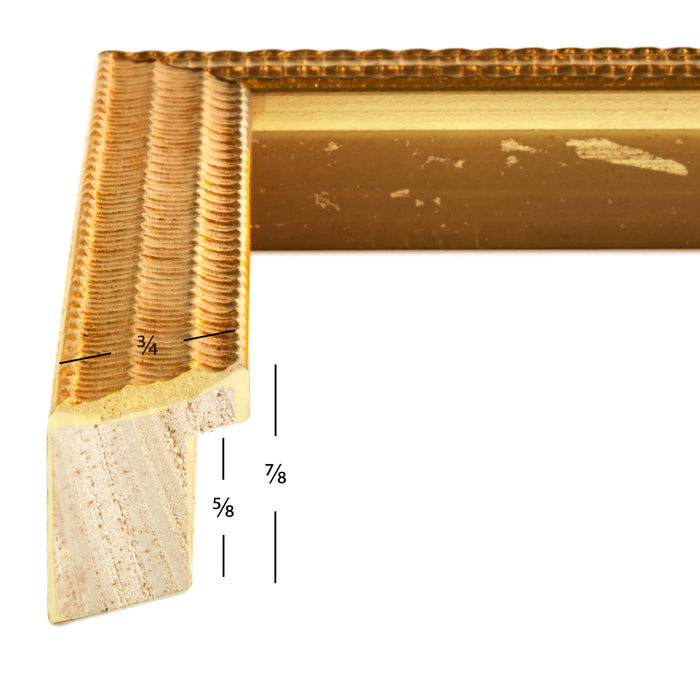 Farnsworth .75", Gold Matted Picture Frame