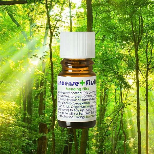Frankincense + First Friend Mending Elixir - Living Libations