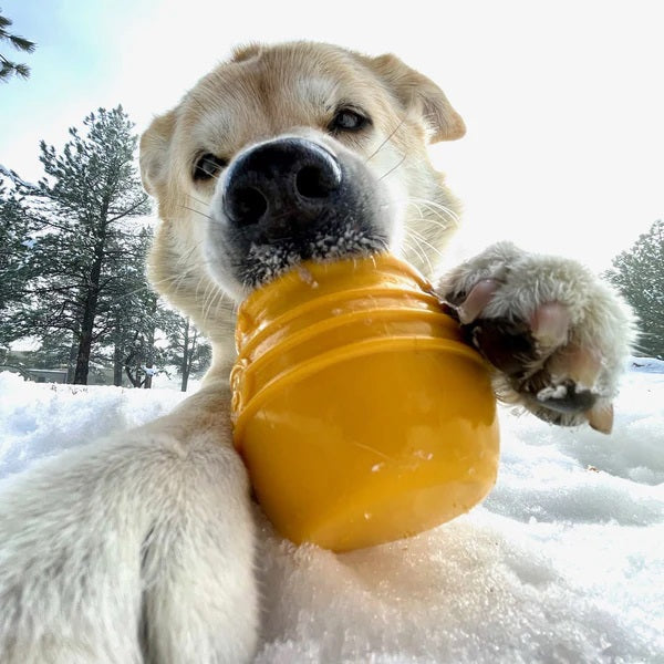 The HONEY POT DOG TREAT DISPENSER - YELLOW LARGE by SODA PUP is a durable yellow plastic container designed in the shape of a honey pot, featuring raised honey drips and a hexagon with a bee symbol on the front. This enrichment toy provides mental stimulation for dogs, making it an ideal treat dispenser for playtime.