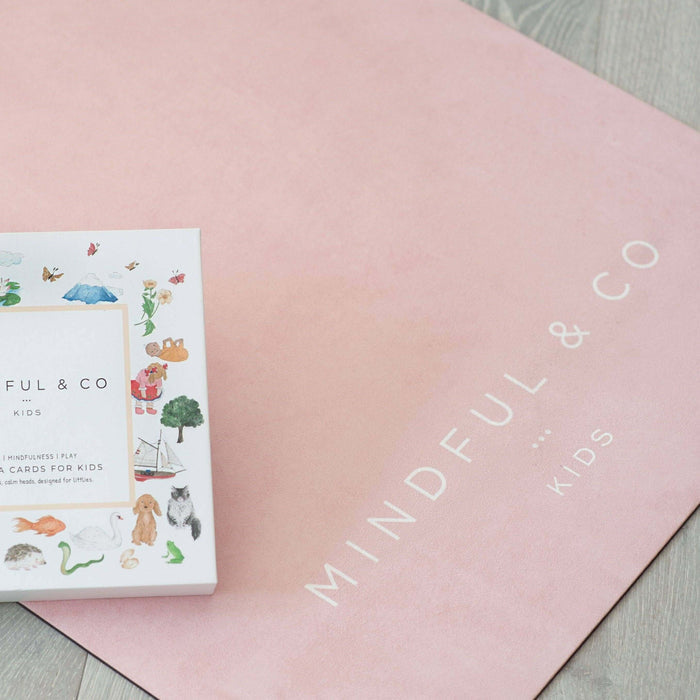 Product packaging for 'MINDFUL & CO' on a pink surface