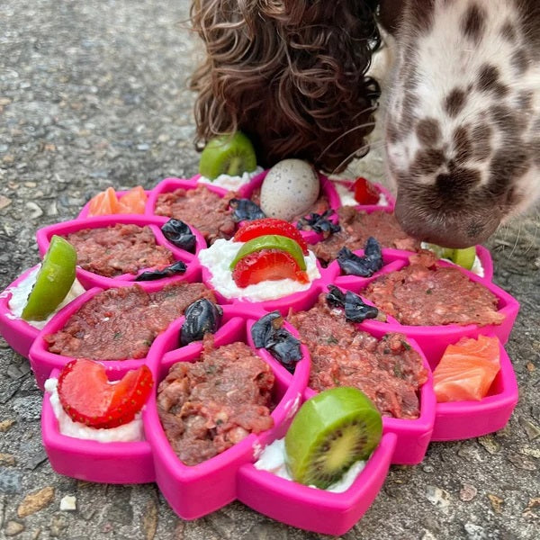 The SODA PUP Mandala Etray Slow Feeder Enrichment Dog Bowl in pink features a flower-inspired silicone design with multiple petal-shaped compartments, ideal for use as a shallow slow feeder or enrichment tray to make your dog's mealtime more engaging, or for baking and crafting activities.