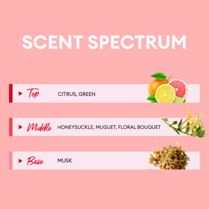 Fragrance chart titled “Scent Spectrum” with a pink background. It shows three fragrance layers: the Top note includes Citrus and Green scents (illustrated with grapefruit and lemon); the Middle note features Honeysuckle, Muguet, and Floral Bouquet (with honeysuckle flowers); and the Base note is Musk (shown with dried musk ingredients).