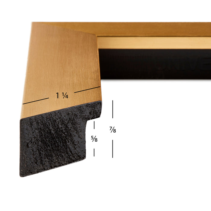 Modern Aesthetics 125 1.25", Brushed Gold Picture Frame