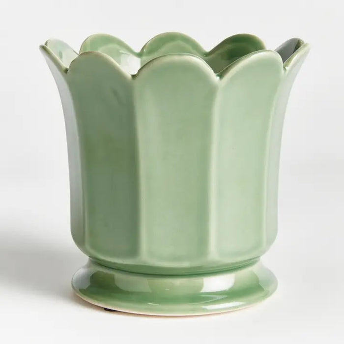 The NAPA HOME AND GARDEN - Maline Footed Pot in Green (Small) is a light green ceramic pot featuring scalloped edges and vertical panels, perched on a small round base, set against a plain white background.