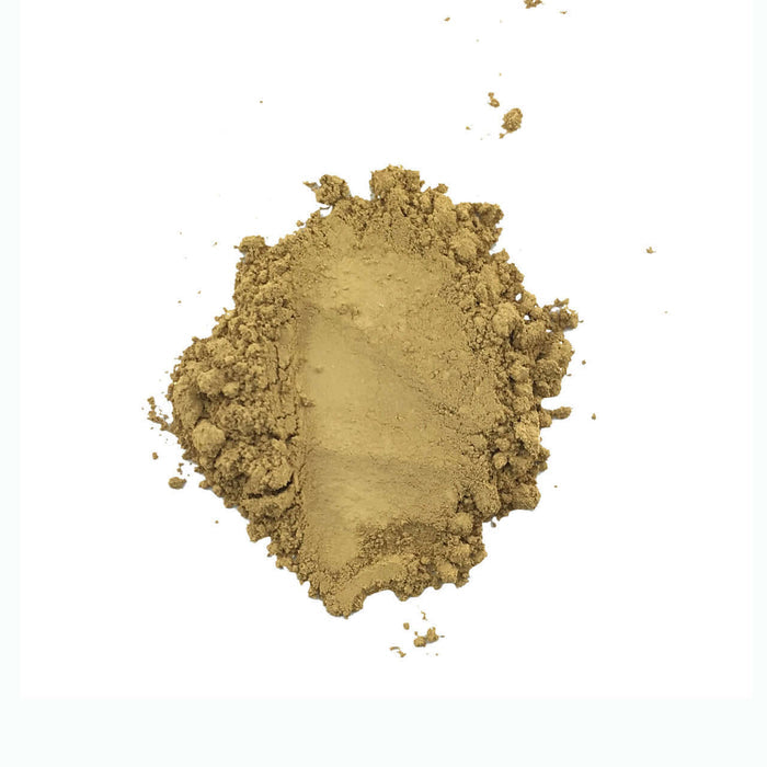Amber Honey - Medium (warm)