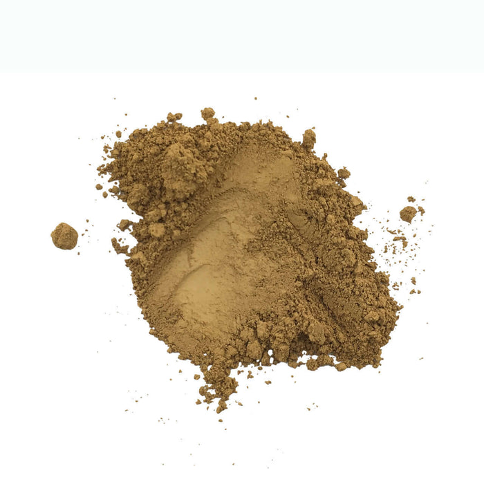 Maple Sugar - Deep (cool)