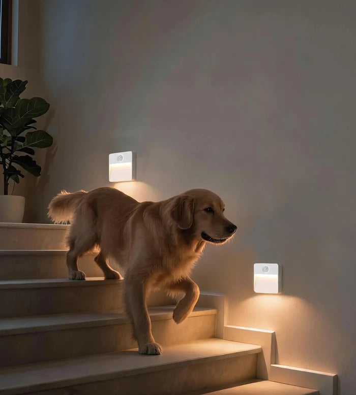 Pack x 2 Veilleuses Intérieures CUBA LED à Détection de Mouvement - Lumihome