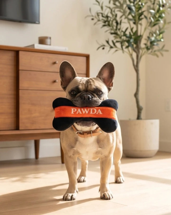 The HAUTE DIGGITY DOG PAWDA BONE DOG TOY is a chic black and orange plush bone with "PAWDA" embroidered in white on the orange stripe—an essential accessory for your stylish pup.