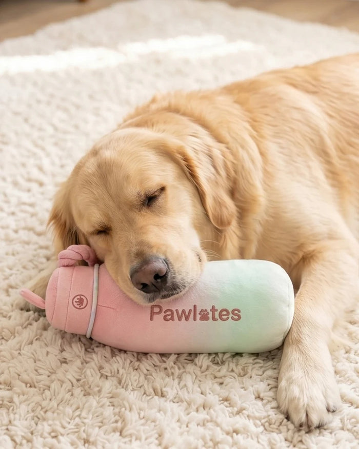 The HAUTE DIGGITY DOG PAWLATES PRINCESS WATER BOTTLE DOG TOY features a soft, pastel pink and green ombre plush design with "Pawlates" embroidered on the bottle and a pink rope handle on the side, making this squeaker dog toy both adorable and entertaining for your pup.