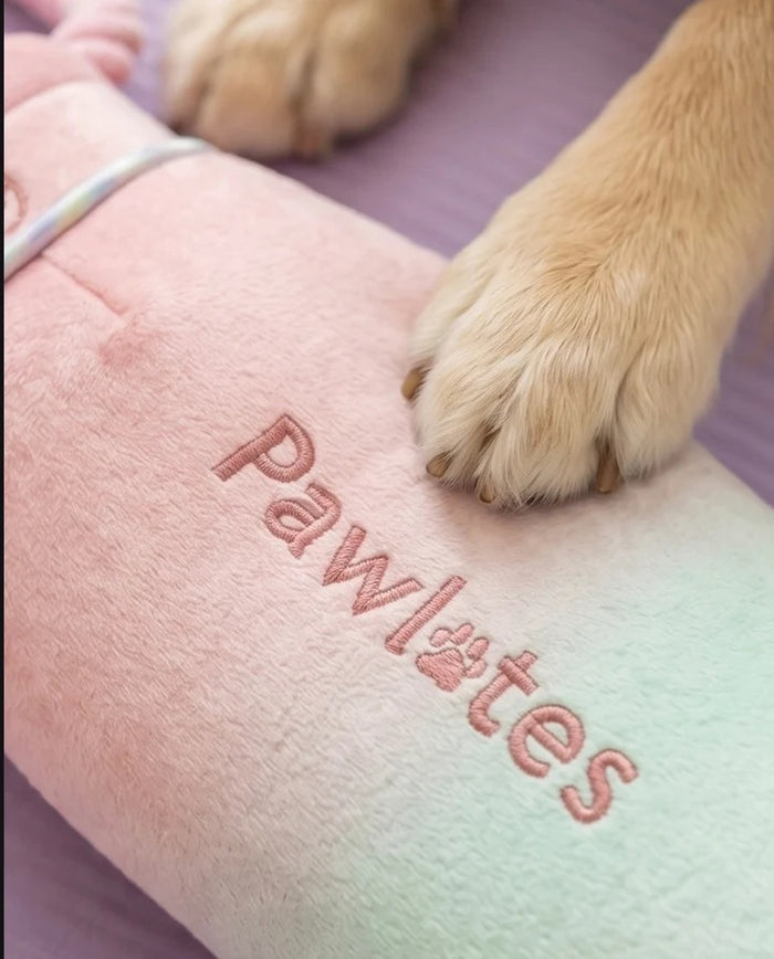 The HAUTE DIGGITY DOG PAWLATES PRINCESS WATER BOTTLE DOG TOY features a soft, pastel pink and green ombre plush design with "Pawlates" embroidered on the bottle and a pink rope handle on the side, making this squeaker dog toy both adorable and entertaining for your pup.