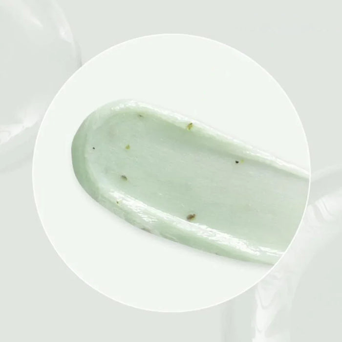 [Shingmulnara] Young Green Tea Fresh Cleansing Foam 120ml - Ballagrio