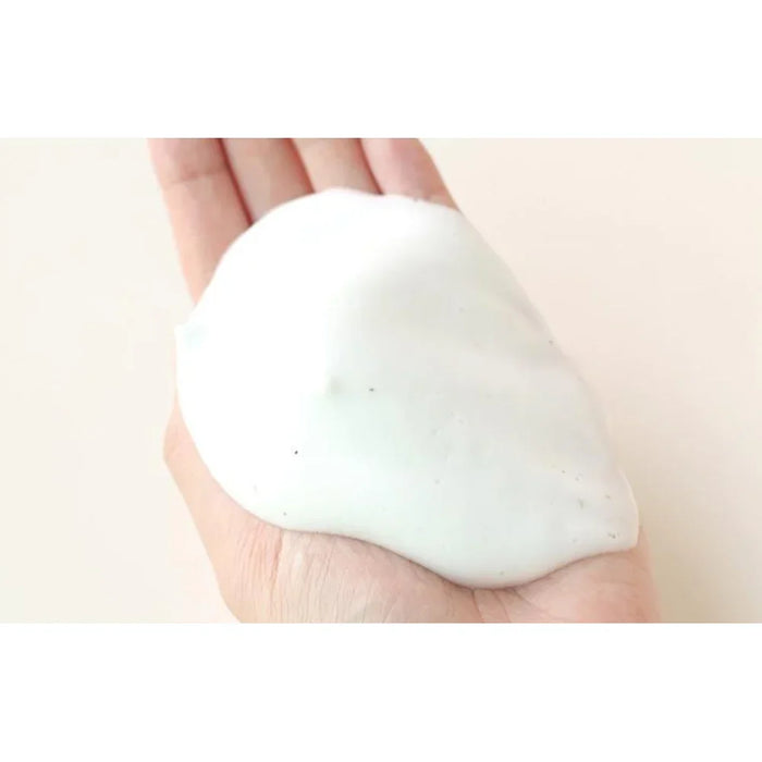 [Shingmulnara] Young Green Tea Fresh Cleansing Foam 120ml - Ballagrio