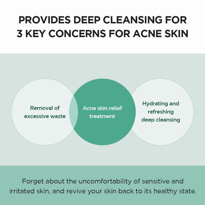 SKIN1004 Madagascar Centella Tea-Trica BHA Foam 125 Ml
