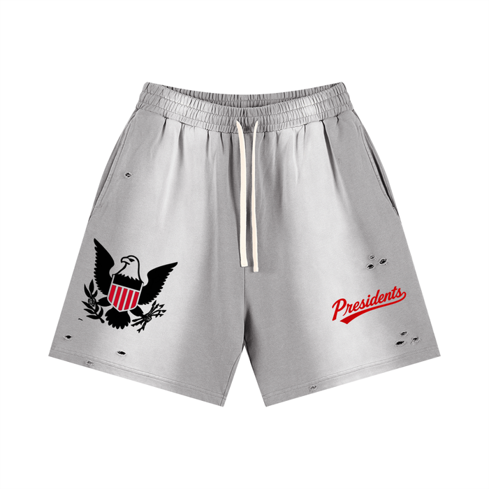 Sun Fade Distressed Shorts