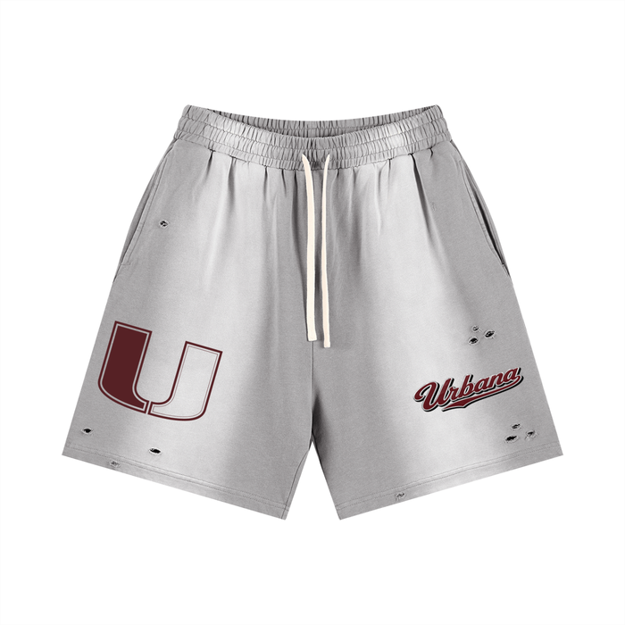Sun Fade Distressed Shorts