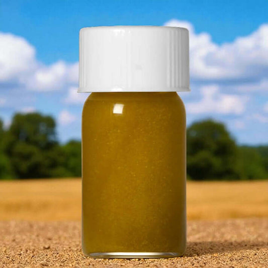 Sun Gold Daisy Essential Oil - Living Libations