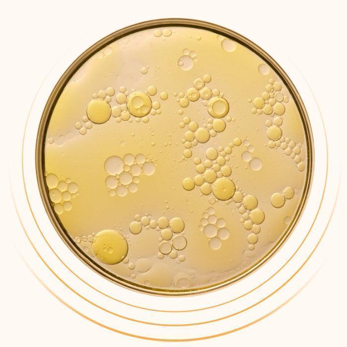 [The History of Whoo] Gongjinhyang Firming Cream 50ml - Ballagrio